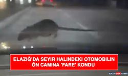 Elazığ’da Seyir Halindeki Otomobilin Ön Camına 'Fare' Kondu