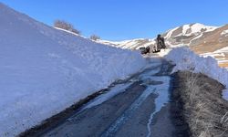 Ardahan'da çığ nedeniyle kapanan 2 köy yolu ulaşıma açıldı