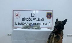 Bingöl'de haklarında arama kaydı bulunan 8 şüpheli yakalandı