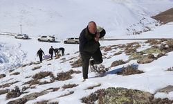 Doğudaki 8 ilde yaban hayvanları için 14 tondan fazla yem dağıtıldı