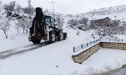 Elazığ'da kardan kapanan 291 köy yolu ulaşıma açıldı