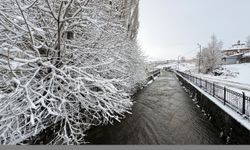 Erzurum, Ardahan, Kars ve Tunceli'de kar yağışı etkili oldu