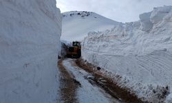 Hakkari'de yer yer 4 metre karın bulunduğu üs bölgesinin yolu açıldı