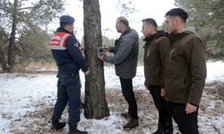 Kars'ın ormanlarına yaban hayvanlarının takibi için fotokapanlar yerleştirildi