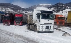 Ulaşımın normale döndüğü Türkgözü-Posof-Damal yolunda tır geçişleri başladı