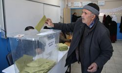 Van ve Hakkari'de yeni kurulan mahallelerde muhtarlık seçimi heyecanı yaşandı