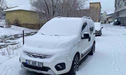 Bir hafta önce bahar temizliği yapılan ilçe kara teslim oldu