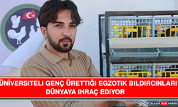 Üniversiteli Genç Ürettiği Egzotik Bıldırcınları Dünyaya İhraç Ediyor