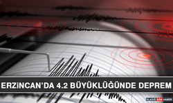 Erzincan'da 4.2 Büyüklüğünde Deprem