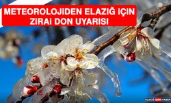 Meteorolojiden 5 İl İçin Zirai Don Uyarısı