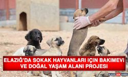 Elazığ’da Sokak Hayvanları İçin Bakımevi ve Doğal Yaşam Alanı Projesi