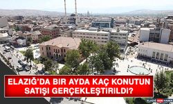 Elazığ’da Bir Ayda Kaç Konutun Satışı Gerçekleştirildi?