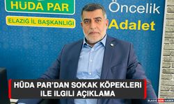 Hüda Par’dan Sokak Köpekleri İle İlgili Açıklama