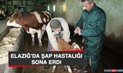 Elazığ’da Şap Hastalığı Sona Erdi