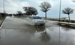 Erciş'te sağanak etkili oldu