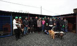 ON Dijital Bankacılık "Pati Dostları" projesini başlattı