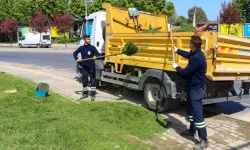 Yalova'da yeşil alan bakımı sürüyor