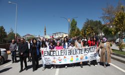 Ahlat'ta "Engelliler Haftası" kapsamında farkındalık yürüyüşü düzenlendi