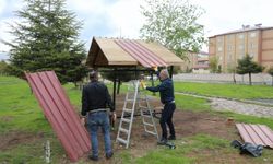 Bitlis'te park ve bahçeler yenileniyor