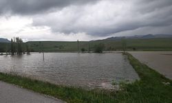 Erzincan’da sağanak sonrası bazı tarım arazileri su altında kaldı
