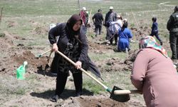 Erzurum'da fidanlar AK Parti'nin eş zamanlı organizasyonuyla toprakla buluştu