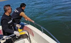 Göl ve sulak alanlarda sazangiller av yasağı başladı