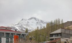 Hakkari, Van ve Bitlis'te yüksek kesimlerde kar etkili oldu