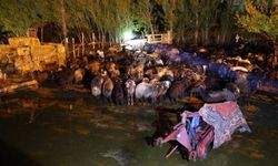 Iğdır'da etkili olan sağanak, ulaşımda aksamalara neden oldu