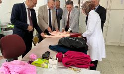 Milli Eğitim Bakanlığı Daire Başkanları Bitlis'te ziyaretlerde bulundu