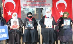 Muş'ta evlatlarına kavuşmak için eylem yapan aileler "Terörsüz Türkiye" sürecinden memnun