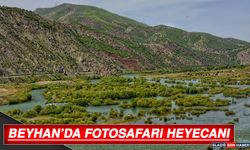 Beyhan’da Fotosafari Heyecanı