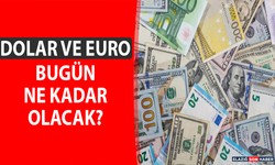 23 Mayıs Dolar ve Euro Fiyatları