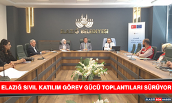 Elazığ Sivil Katılım Görev Gücü Toplantıları Sürüyor