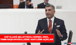 CHP Elazığ Milletvekili Gürsel Erol, TBMM Başkanvekilliğine Adaylığını Açıkladı