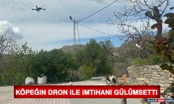 Köpeğin Dron ile İmtihanı Gülümsetti