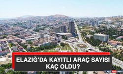 Elazığ Trafiğinde Araç Sayısı Kaç Oldu?
