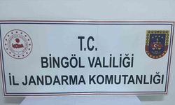 Bingöl’de jandarmanın dikkati tarihi eser kaçakçılığını önledi