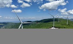 Eksim Enerji, 790 bin hanenin elektriğini rüzgardan üretti