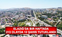 Elazığ’da Bir Haftada 213 Olayda 12 Şahıs Tutuklandı