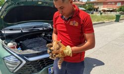 Erzincan’da otomobilin motor bölümüne sıkışan kedi yavrularını itfaiye kurtardı