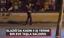 Elazığ’da Kadın, 4 İş Yerine Bir Eve Taşla Saldırdı