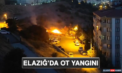 Elazığ’da Ot Yangını