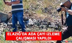 Elazığ’da Ada Çayı İzleme Çalışması Yapıldı