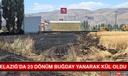 Elazığ’da 23 Dönüm Buğday Yanarak Kül Oldu