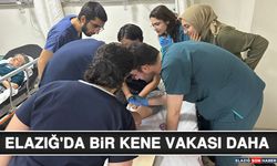 Elazığ'da Bir Kene Vakası Daha