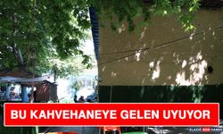 Bu Kahvehaneye Gelen Uyuyor