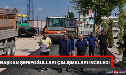 Başkan Şerifoğulları Çalışmaları İnceledi
