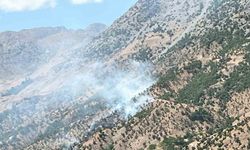 Bingöl’deki orman ve arazi yangınları söndürüldü