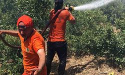 Bingöl’deki orman yangını kontrol altına alındı