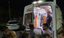 Bitlis'te tarım aracının devrilmesi sonucu 7 kişi yaralandı